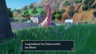 Milotic evolution (Image via Nintendo)